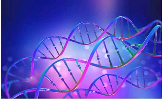 Pharmaceutical Biotechnology